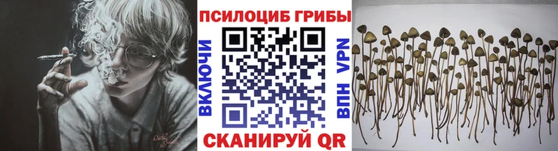 Галлюциногенные грибы прущие грибы Мценск