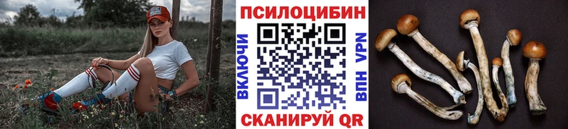 Купить закладки  Мценск  Псилоцибиновые грибы ЛСД 